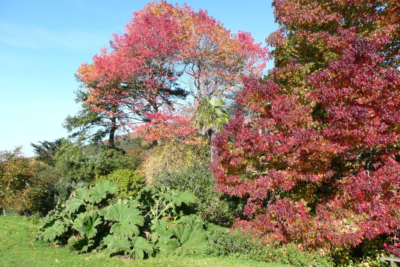 Luxury Bed And Breakfast At Bossington Hall In Exmoor, Somerset Porlock Exterior foto